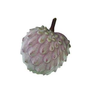 Ilama frut tropical de couleur pourpre avec des sortes épines non piquantes sur la coque