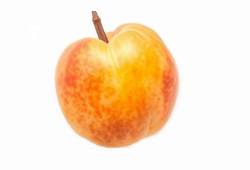Abricot orange, fruit commençant par A
