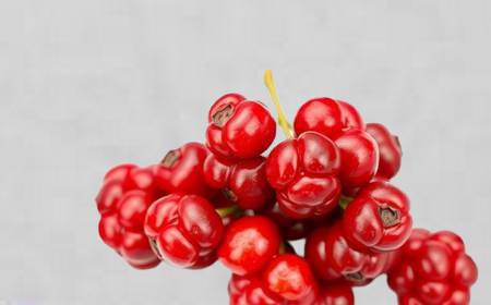 Des baies d'acérola rouges et brillantes dans une petite coupe blanche