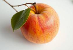 Brugnon rouge et jaune, fruit en B juteux