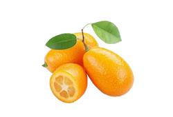 Calamondin fruits commençant par c