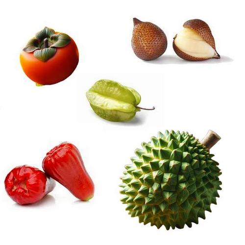 Collection de 5 fruits exotiques colorés : mangue, fruit du dragon, ramboutan, carambole et fruit de la passion