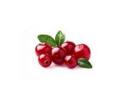 Cranberry