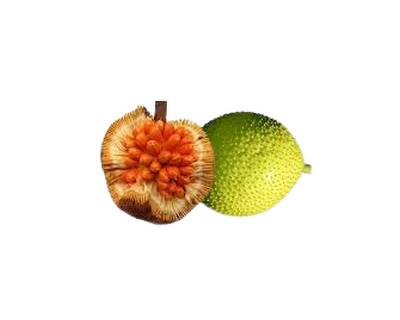 Fruit entawak entier à côté d'un fruit coupé, montrant la peau bosselée et la chair orange.
