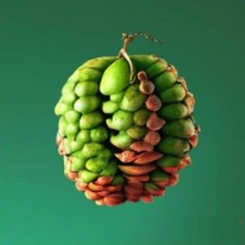 un fruit exotique de couleur vert aux formes extraordinaires