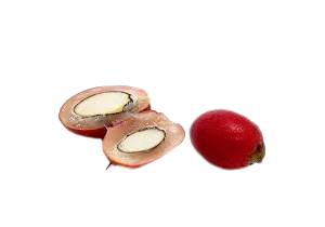 Fruit miracle, fruit en F
