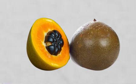 Lucuma entier et coupé en deux, montrant la chair orangée