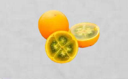 Lulos entiers et coupés en deux, montrant la peau orange et la pulpe verte et gélatineuse