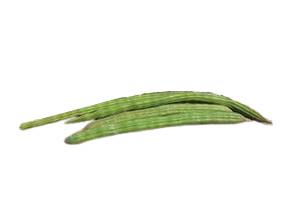 Le Moringa, l'arbre de vie aux fruits verts