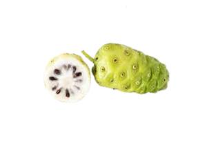 Le Noni, un fruit tropical aux multiples vertus