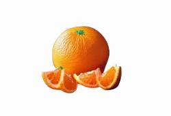 Orangelo, hybride orange-pamplemousse, fruit en O