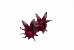 Calices rouges d'Oseille de Guinée (Roselle), fruit en O pour boissons